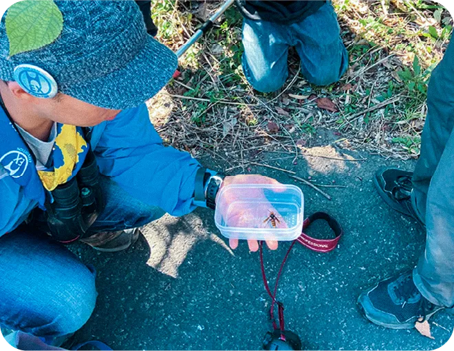 北斎たんけん隊 昨年のイベントの様子 スライド画像