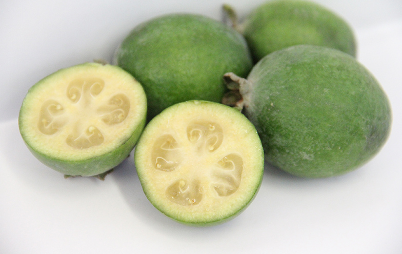 大井町地域振興課イメージ