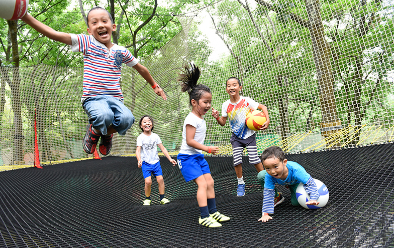 森の空中あそびパカブイメージ