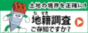 国土交通省地籍調査ウェブサイト