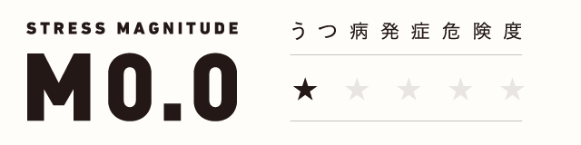 ストレスマグニチュード