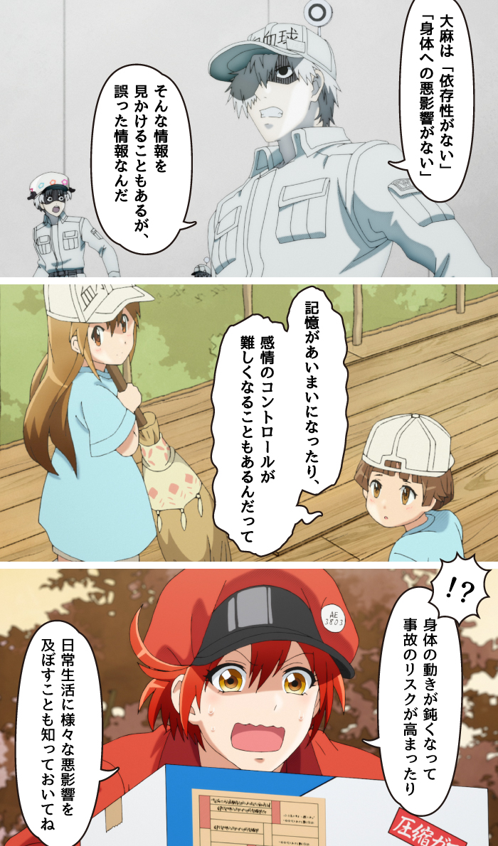 マンガで『薬物について』知ろう！～大麻編～