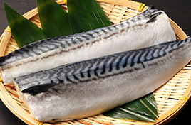 魚の写真