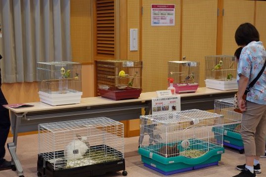 写真：小動物展示の様子