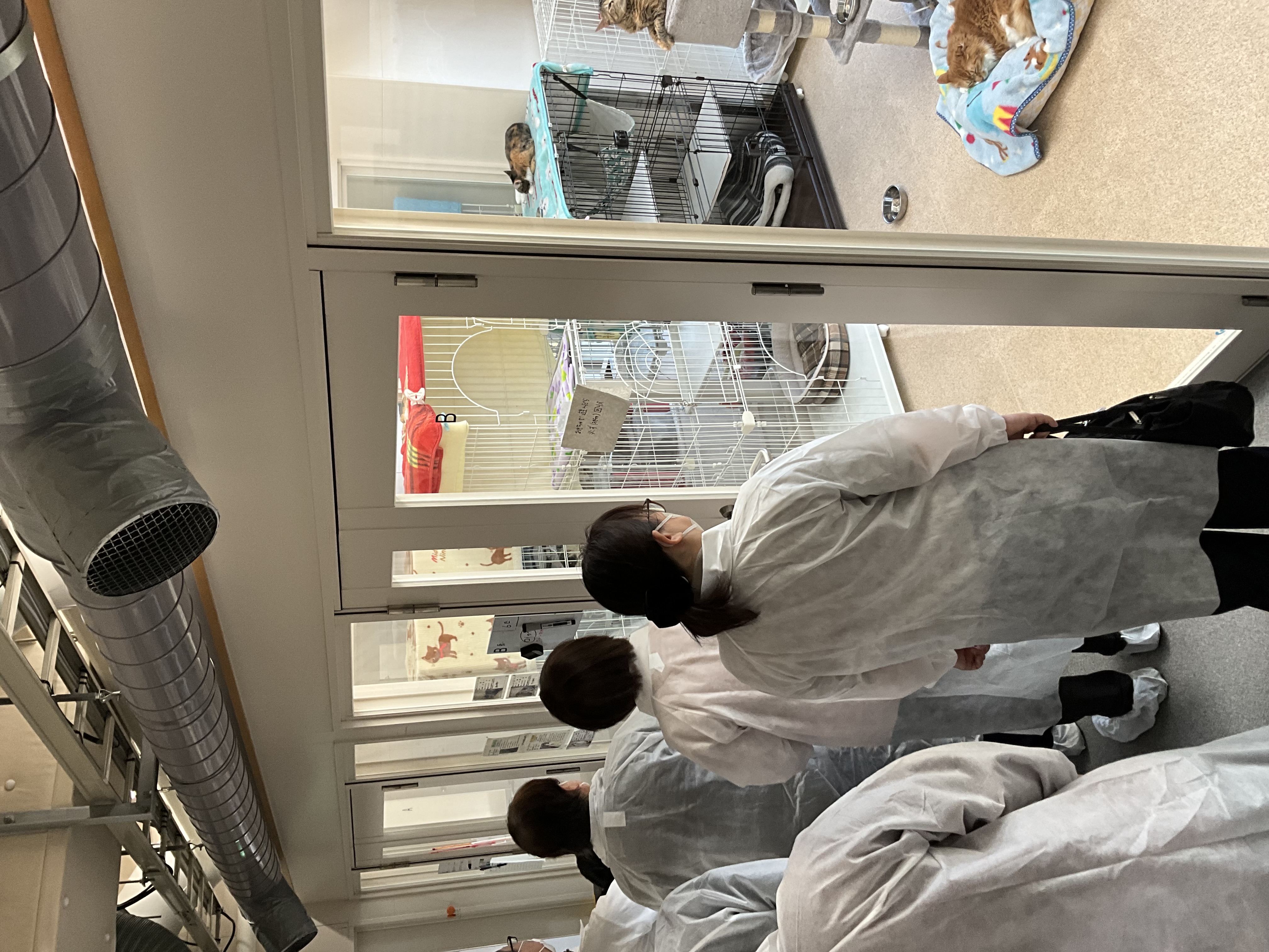 写真:バックヤードツアーの様子