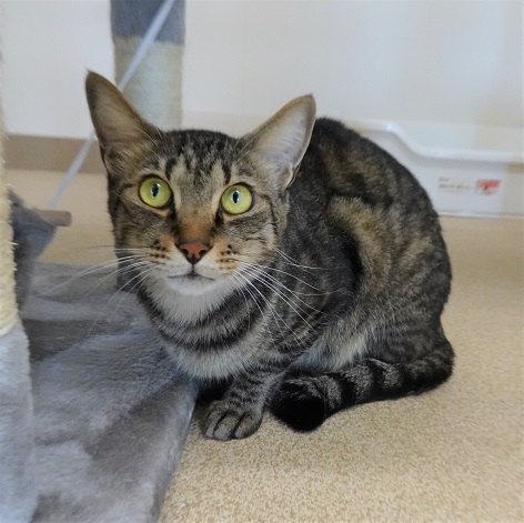 写真：獺祭の写真