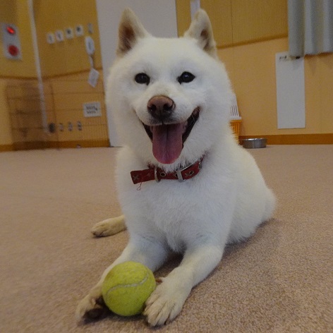 写真：純一の写真