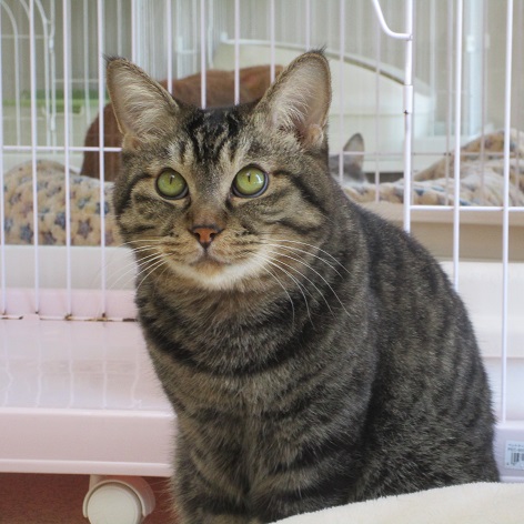 写真：うたの写真