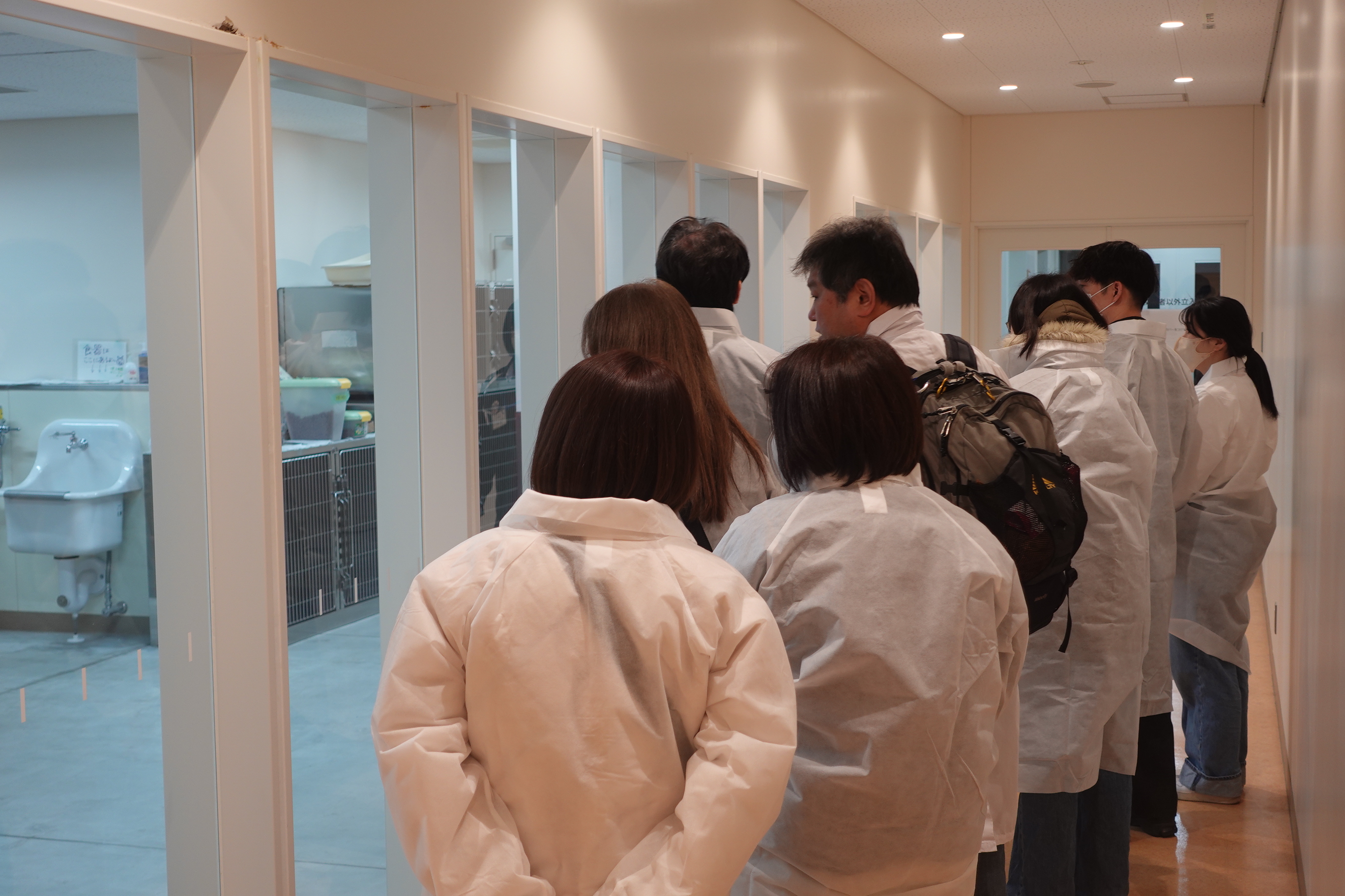 写真：譲渡会の様子1