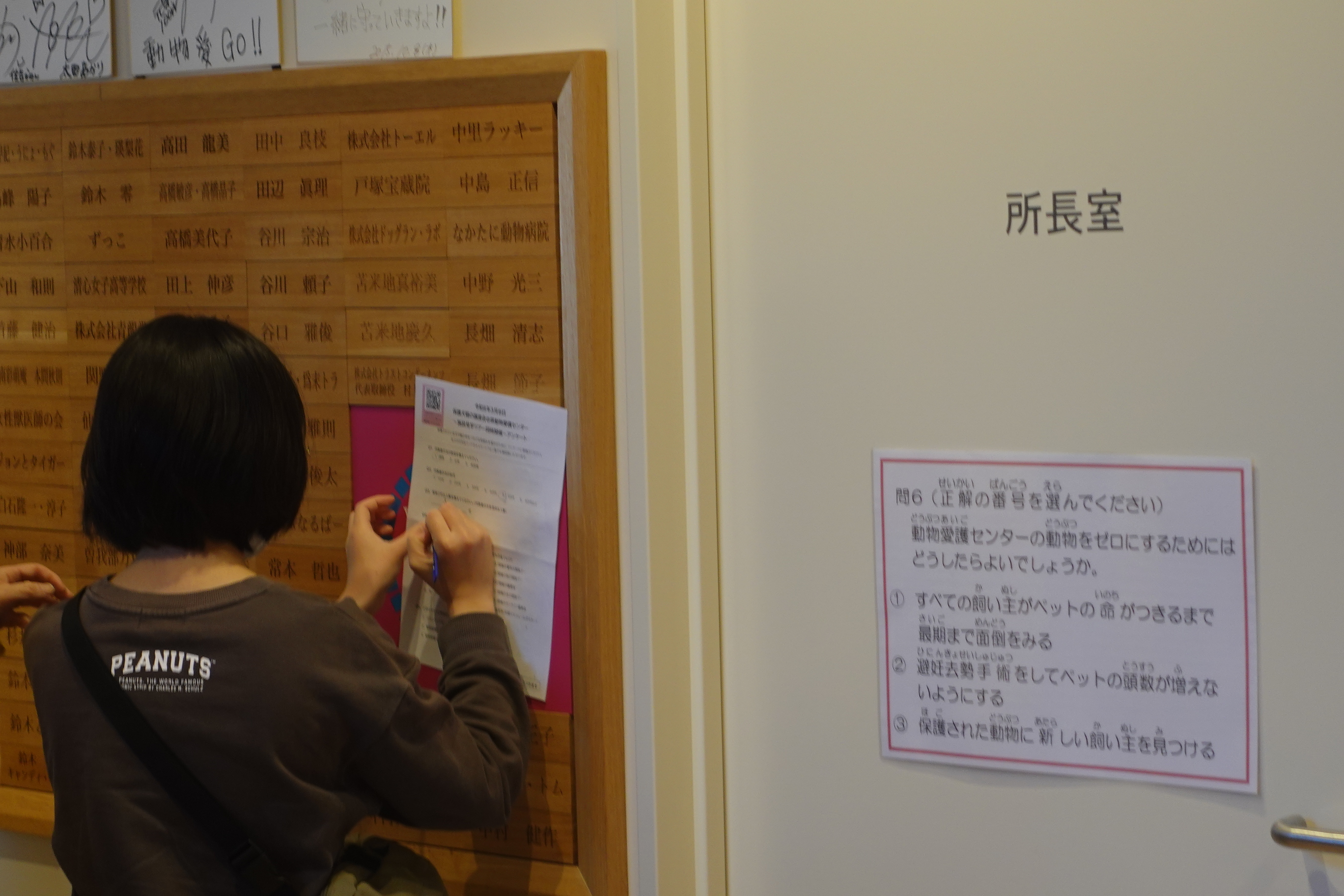 写真：譲渡会の様子2