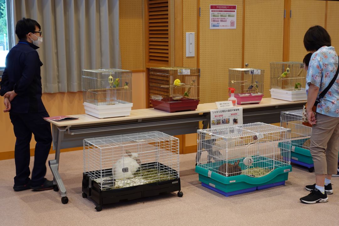 写真：開放デーの様子1