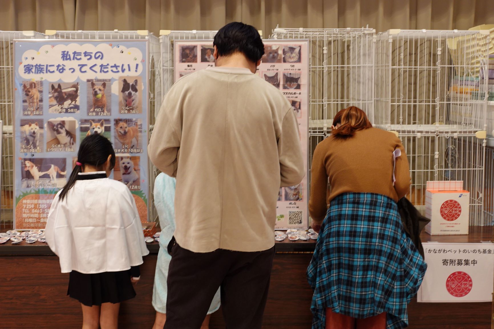 写真：譲渡会の様子2