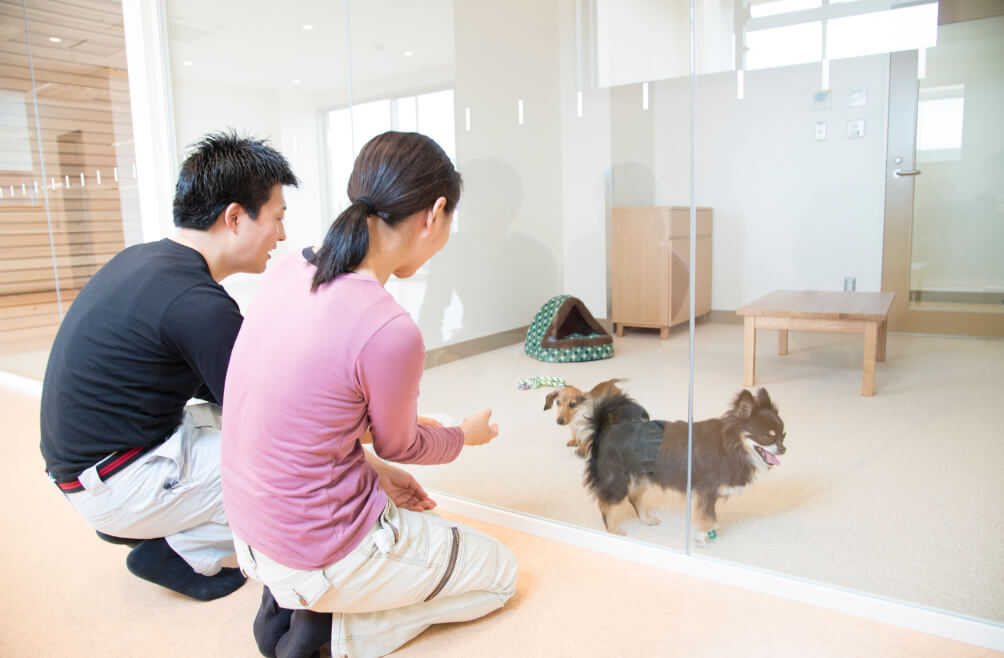 写真：夫婦が愛護センターにいる犬を見学している様子