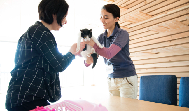 写真：新しい飼い主さんに保護猫を手渡ししている様子