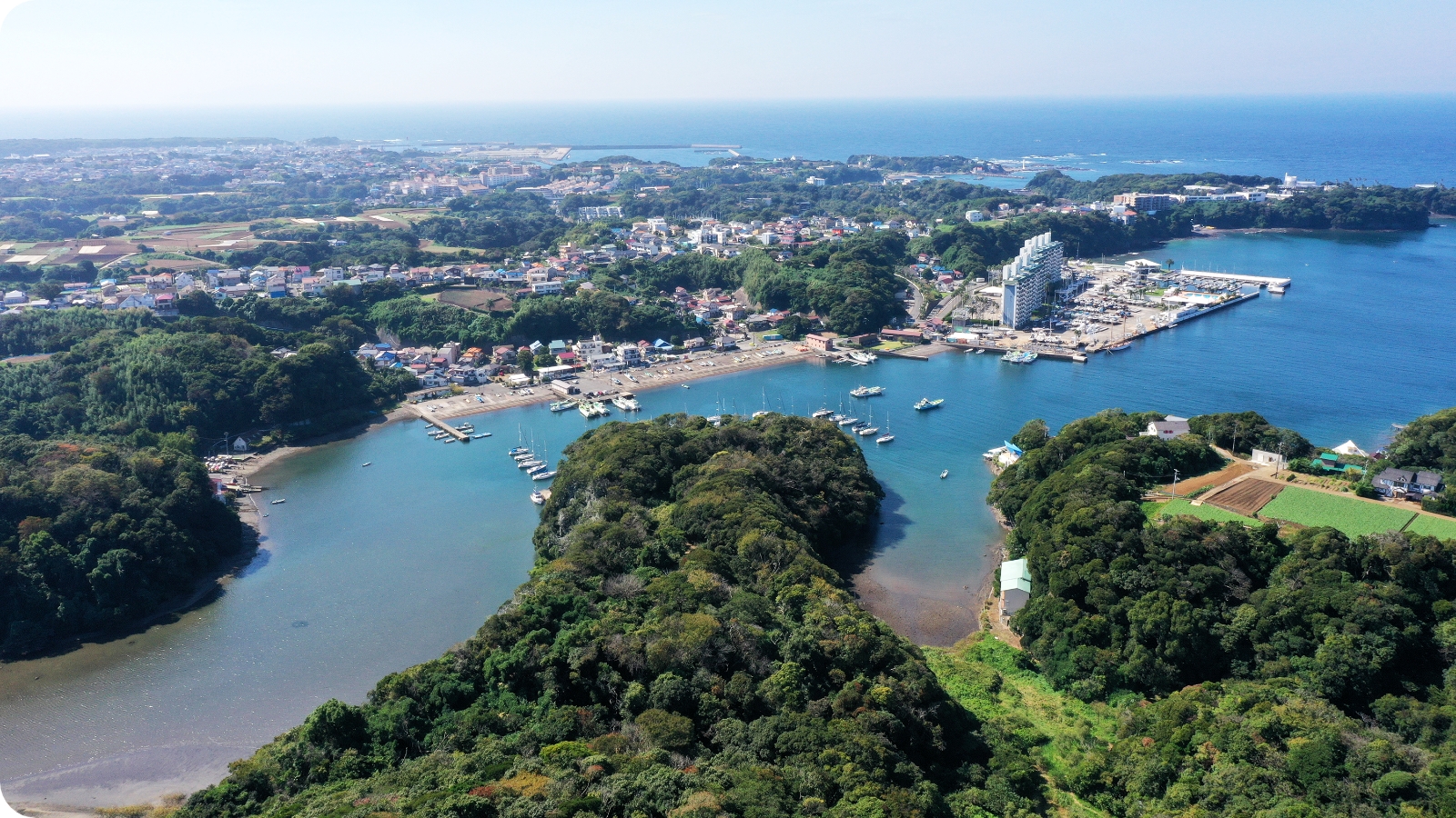 小網代湾の様子