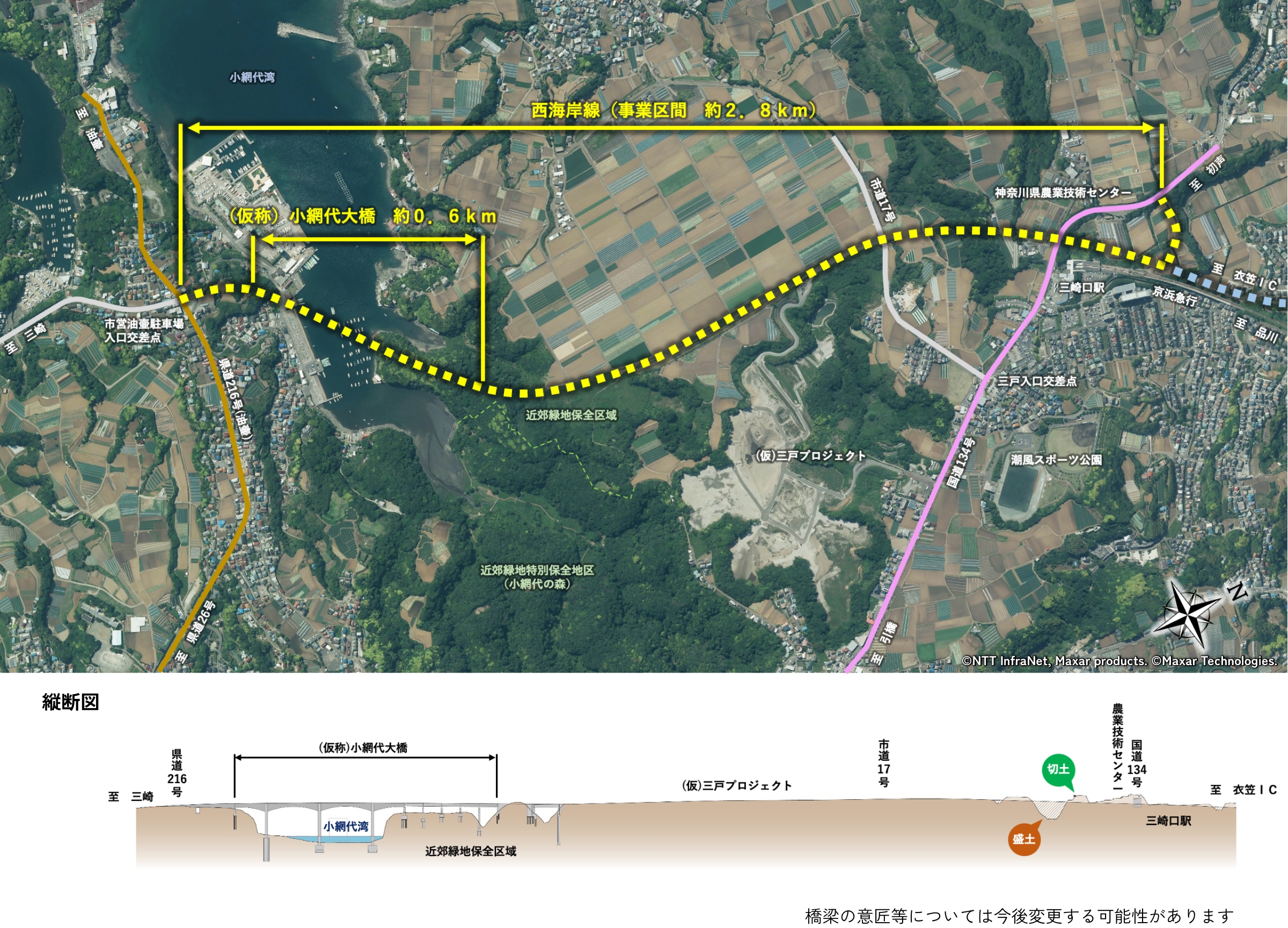 上空から見た未整備区間の様子と縦断図