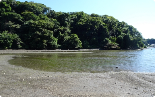 小網代湾の様子