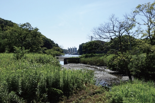 小網代区域の自然環境イメージ04