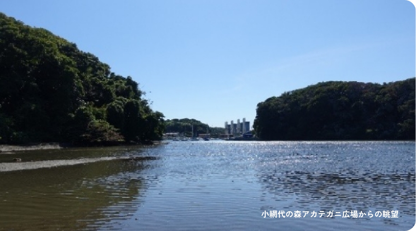 小網代の森アカテガニ広場からの眺望
