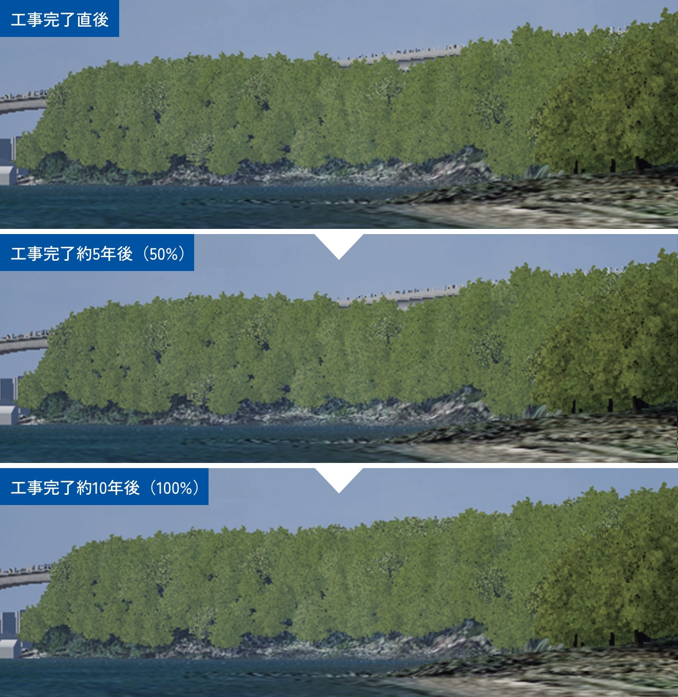 樹林の再⽣のイメージ