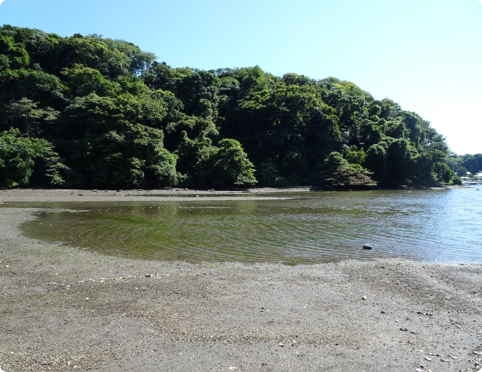 小網代湾の様子