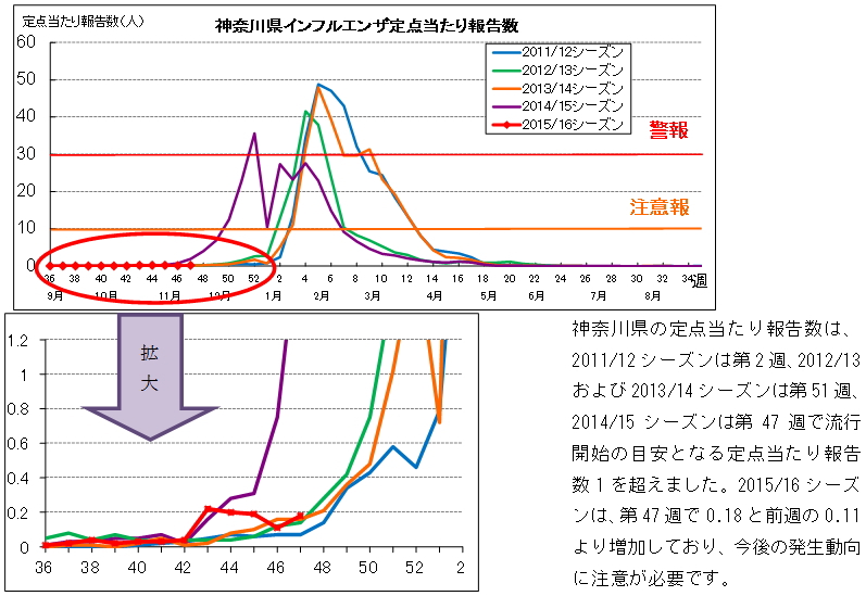 神奈川県の定点当たり報告数は、2011/12シーズンは第2週、2012/13および2013/14シーズンは第51週、2014/15シーズンは第47週で流行開始の目安となる定点当たり報告数1を超えました。2015/16シーズンは、第47週で0.18と前週の0.11より増加しており、今後の発生動向に注意が必要です。
