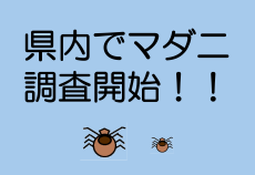 神奈川県内でのマダニ類の調査を開始しました