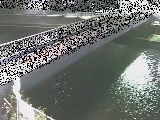 鷹取川 鷹取川人道橋付近のカメラ画像