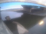 葛川 吉田橋付近のカメラ画像
