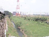 渋田川 若宮橋付近のカメラ画像