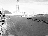 若宮橋付近のカメラ画像