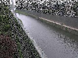 柏尾川 神鋼橋付近のカメラ画像