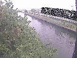 引地川 大平橋付近のカメラ画像