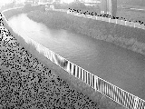 石川橋付近の画像