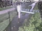 玉川 玉川橋付近のカメラ画像