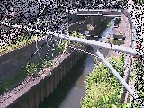 鳩川 平和橋付近のカメラ画像