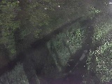 滝沢橋付近のカメラ画像