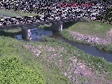 狩川 大泉河原橋付近のカメラ画像