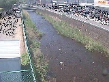 東洋橋付近のカメラ画像