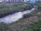 鶴見川 落合橋付近のカメラ画像