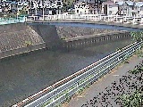 柏尾川 鷹匠橋付近のカメラ画像