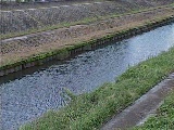 柏尾川 元町橋付近のカメラ画像