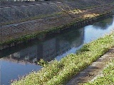 柏尾川 元町橋付近のカメラ画像