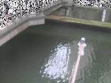 帷子川分水路 西鶴屋橋付近のカメラ画像