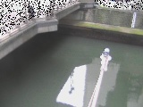 西鶴屋橋付近のカメラ画像