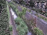 苴t߂̉摜