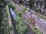 苴t߂̉摜