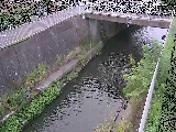g싴t߂̉摜