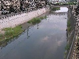 Rt߂̉摜