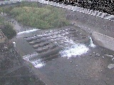 V苴t߂̉摜